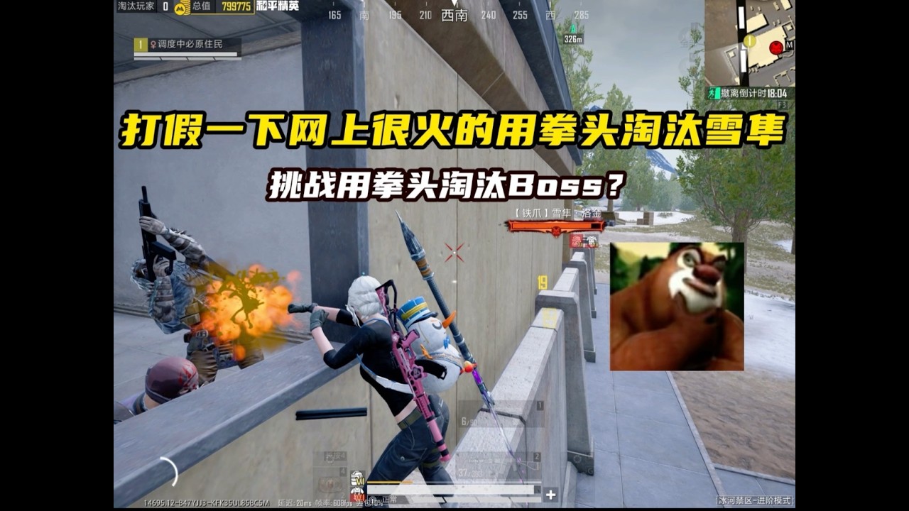 挑战只用拳头就可以淘汰雪隼？