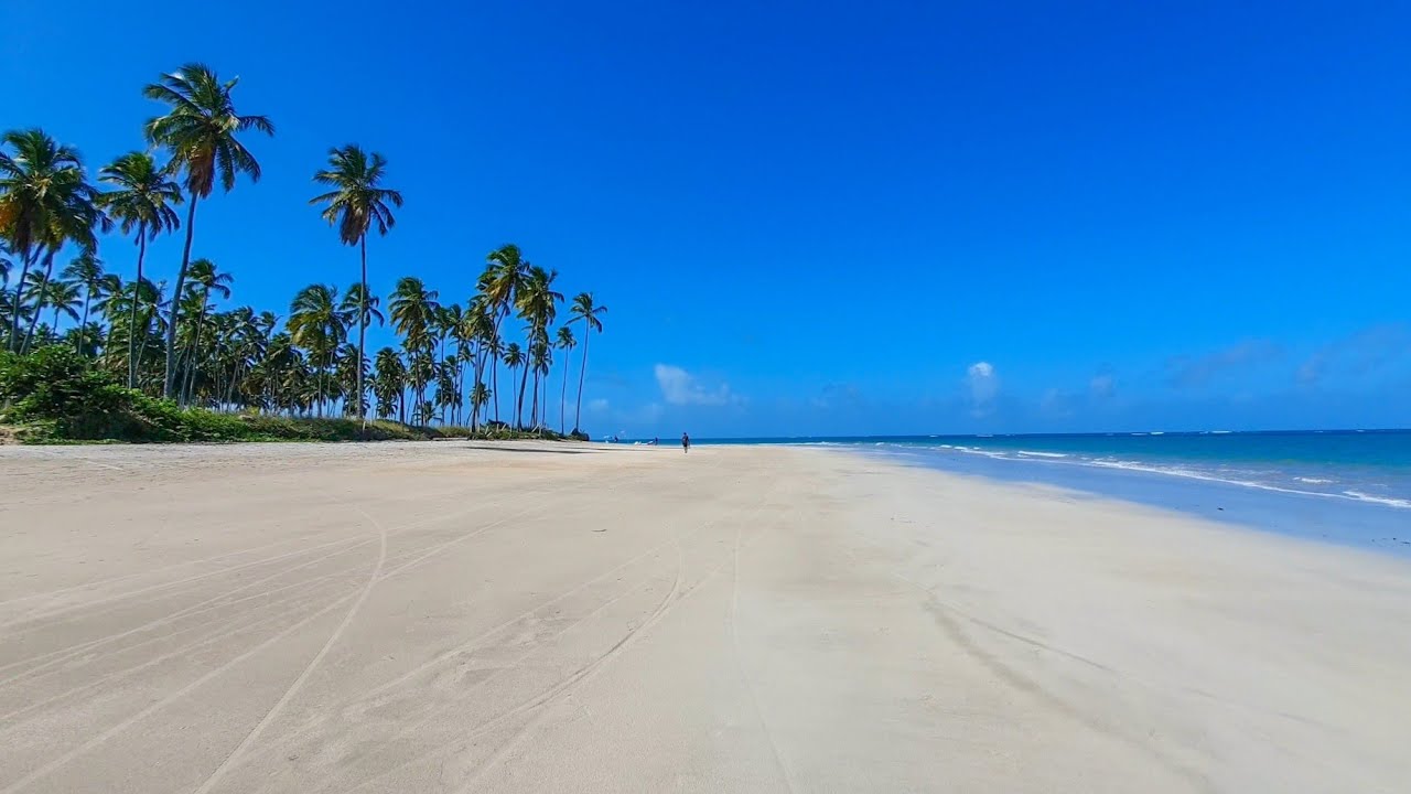 Praia dos Carneiros Toda Extensão da Praia 4k