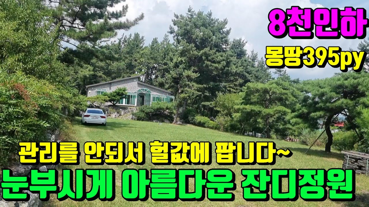 [No.82]8천내리고~관리가힘들어 손해보고 헐값에팝니다.단하루도 거주하지 않았던 청통전원주택급급매(총평수:395py)/영천부동산가이드/영천부동산
