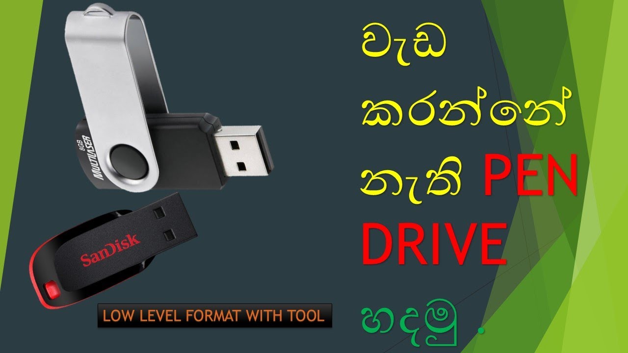 Damage Flash Drive Repair Sinhala