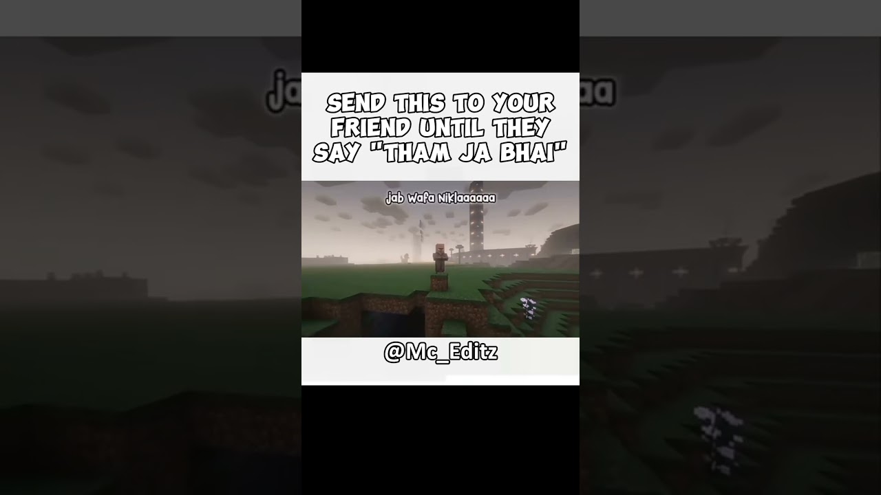 Tham ja bhai   #reels #fyp #edit #edits  #supra #memes #minecraft #minecraftedit #minecrafters #mine