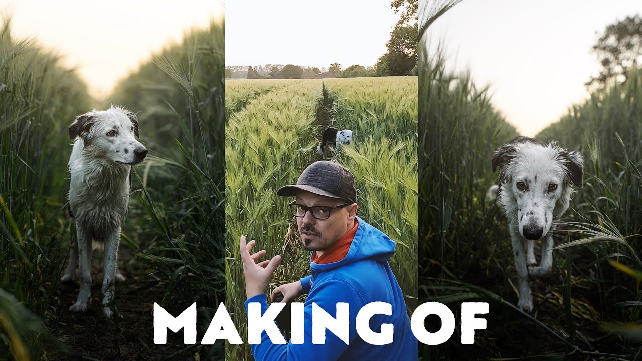 Hundefotografie & Bildbearbeitung / Ein komplettes Making of