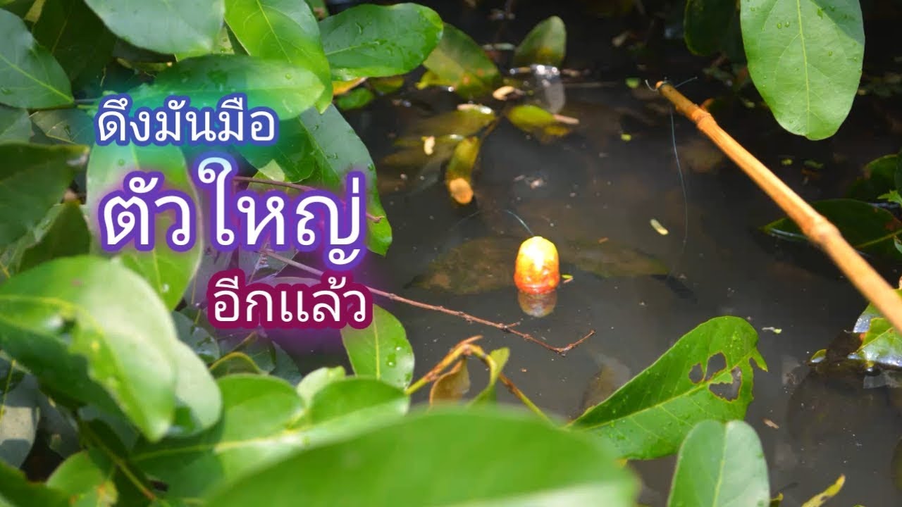 พายเรือ ตกปลา เเม่น้ำสงคราม กับบรรยากาศสบายๆ / บ้านนอก EP.131