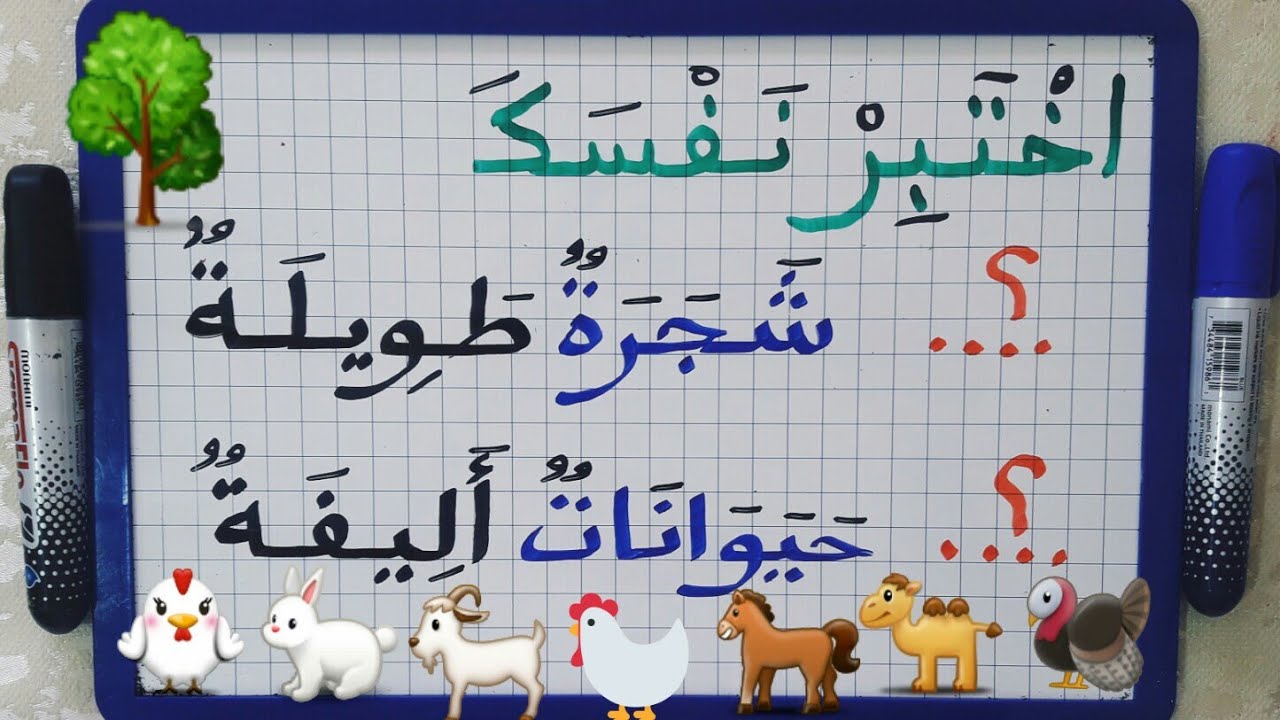 أالدرس129:املأ  الفراغ باسم الإشارة المناسب في هذه الجمل/إختبر نفسك(تمرين)/تعلم التحويل