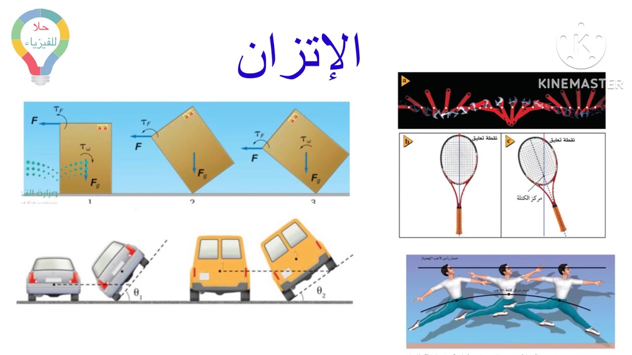( ٨ ) الاتزان فيزياء ٢