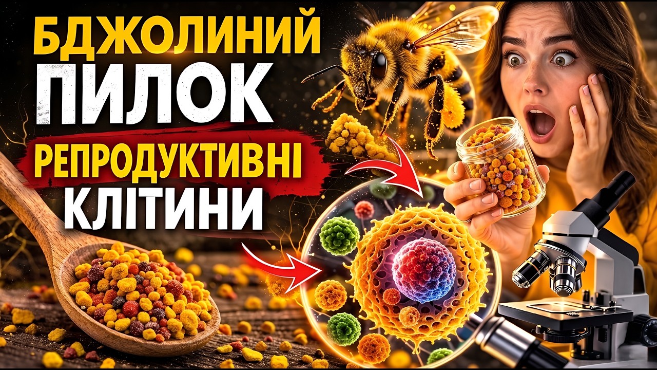 Бджолиний пилок: Те, що продають як суперфуд, насправді репродуктивні клітини рослин?!