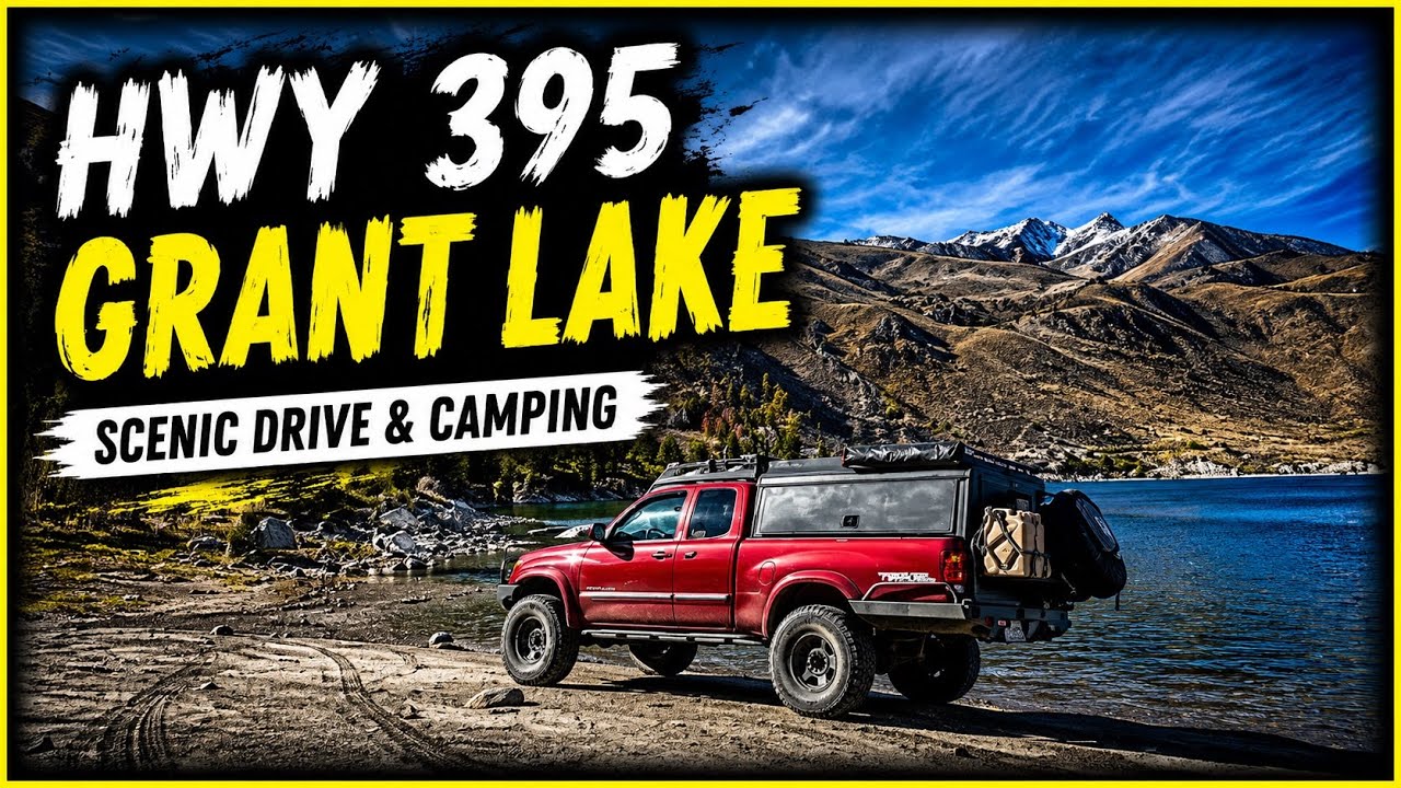 Return to Grant Lake - HWY 395 Dispersed Camping - Fresh Xmas Tree