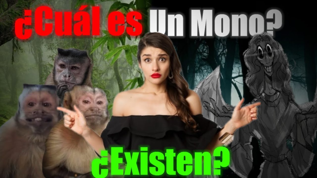 ¡SIN ESENCIAS NO HAY MONOS!