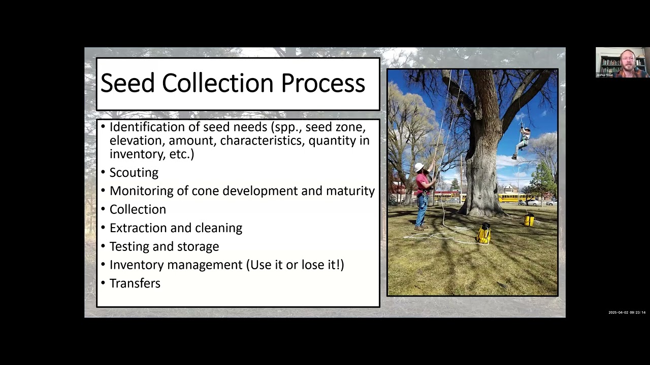 Southwest Reforestation Training Webinar by Joshua Sloan