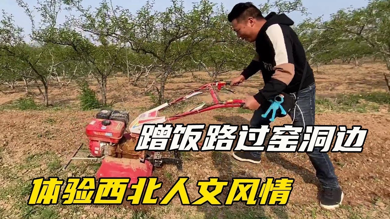 三狗组合陕西渭南汇海哥，蹭饭路过窑洞边，一起体验西北人文风情【海派高手】