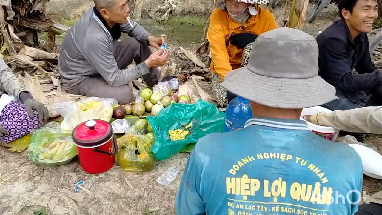 Thu hoach vườn thuốc số 6 và số 15