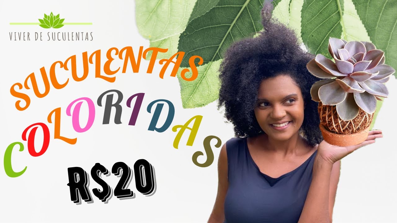Lindas Suculentas Coloridas por R$ 20 - Como colorir suculentas de forma natural