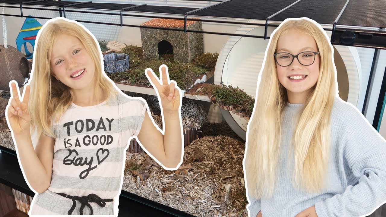 Vi bygger den coolaste hamsterburen till vår hamster Gizmo #hamster #guldhamster #familjenhilner