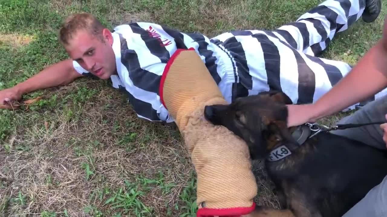 WATCH: Knox County Sheriff's Office responds to lip sync challenge