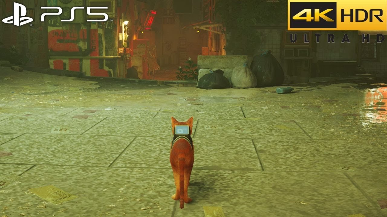 Stray (PS5) 4K 60FPS HDR Gameplay - (PS5 Version)