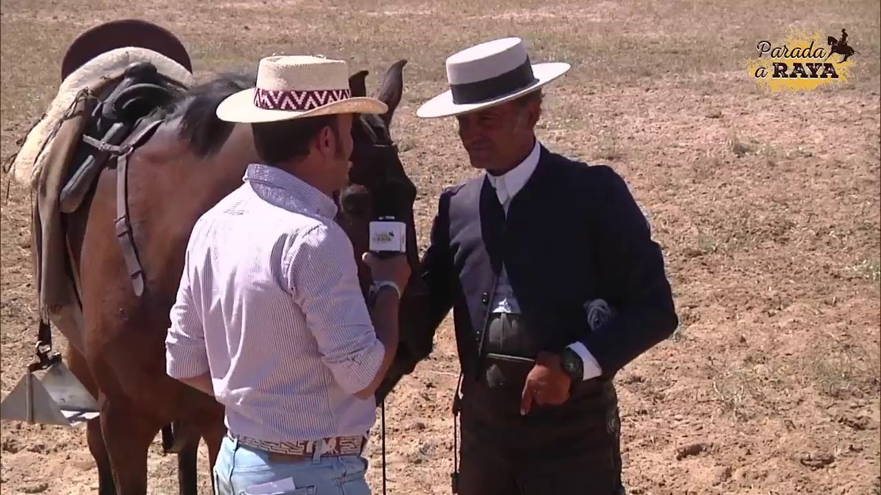 XXXVIII CPTO DE ANDALUCIA ACOSO Y DERRIBO 2021 VACA DOMINGO FINAL MANSA