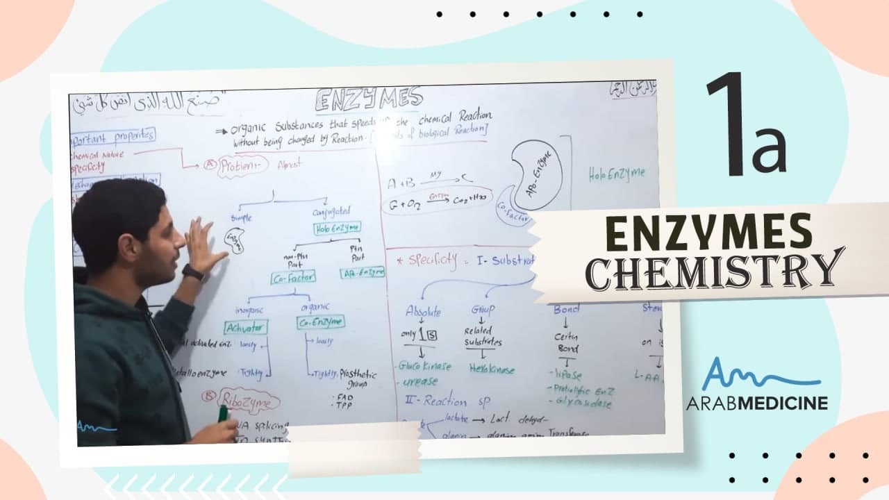 Enzymes 1a