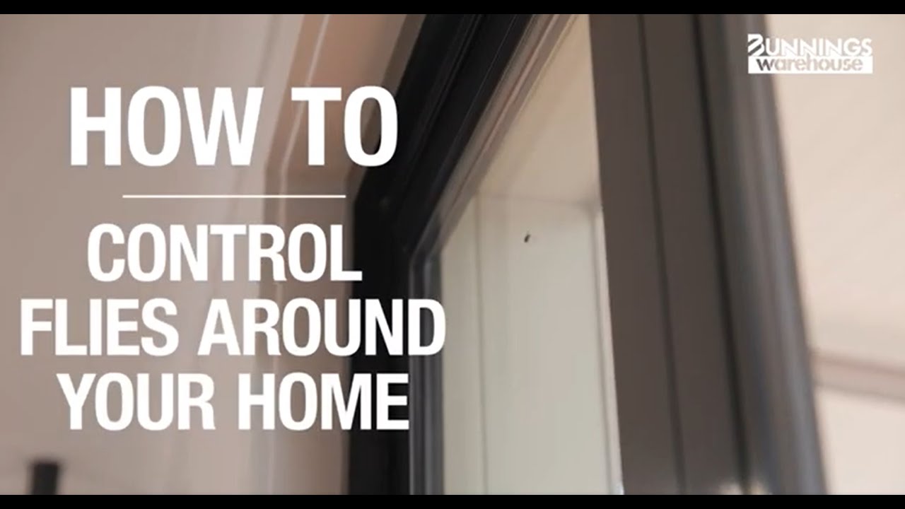 How to control flies around your home - Bunnings Warehouse