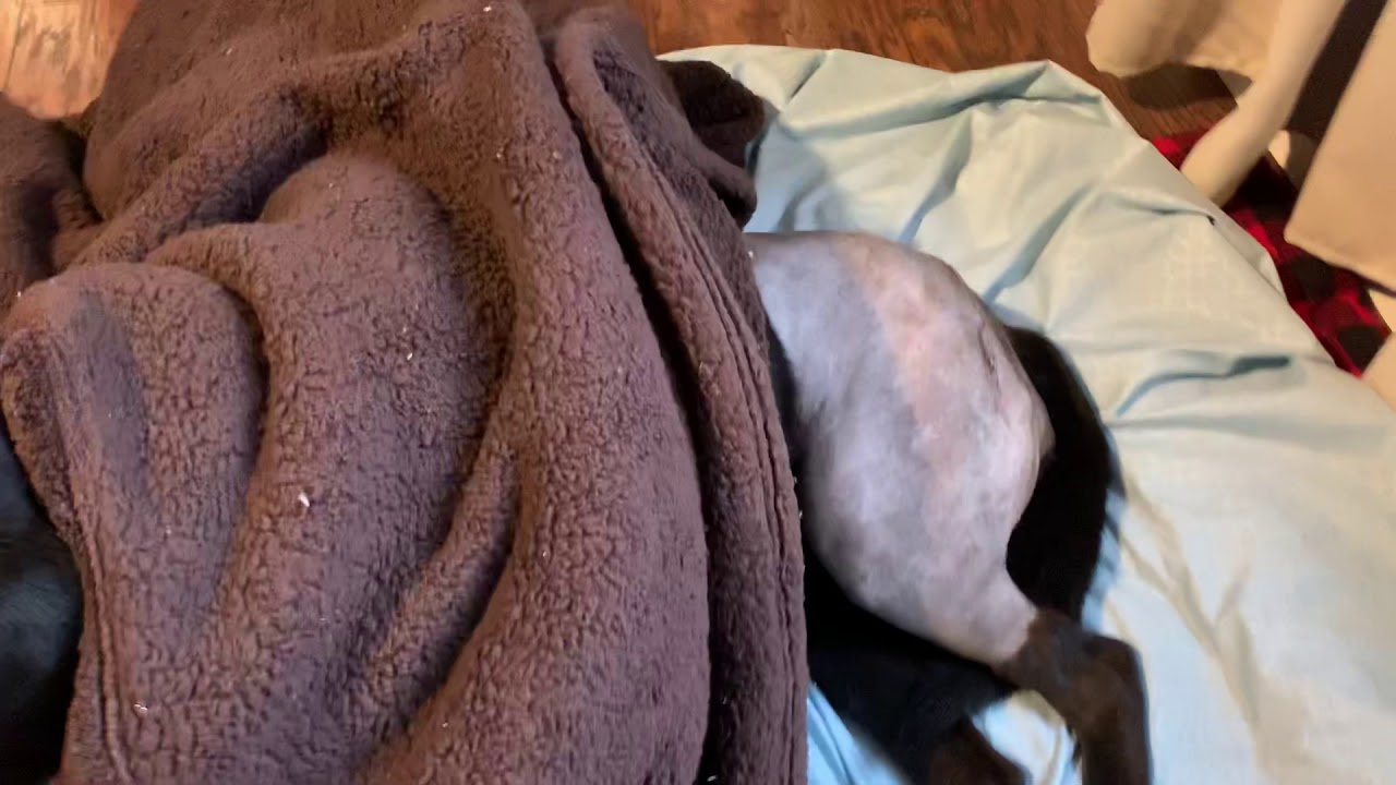 First day home after FHO surgery