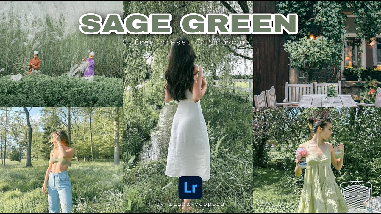 Preset Lightroom Sage Green | Free Preset Lightroom Mobile | Preset Gratis