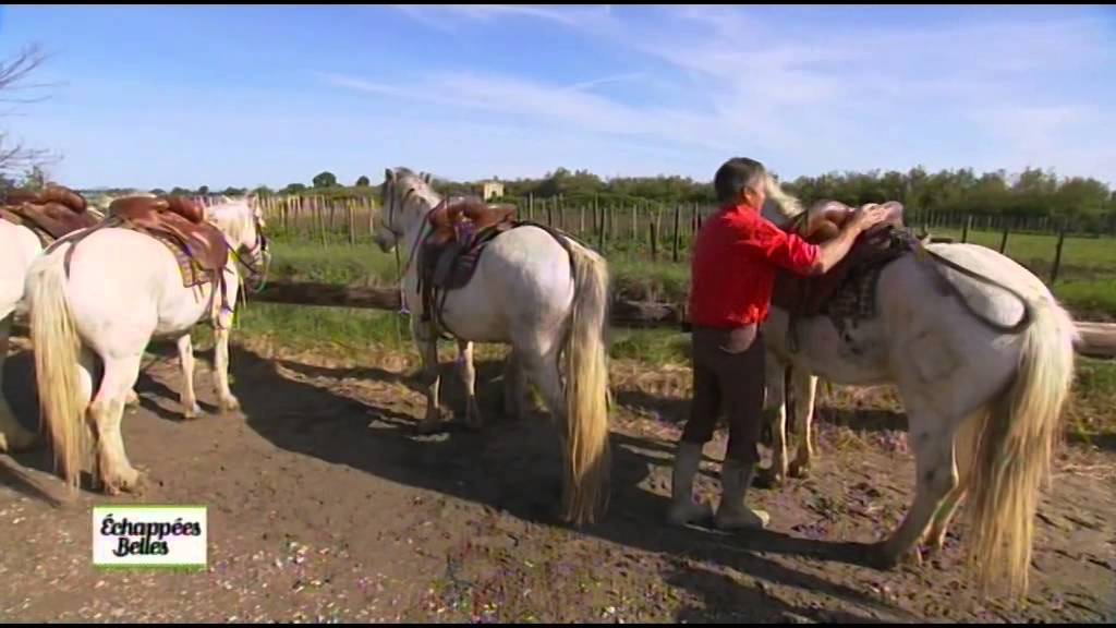 Languedoc-Roussillon - Echapp&eacute;es belles