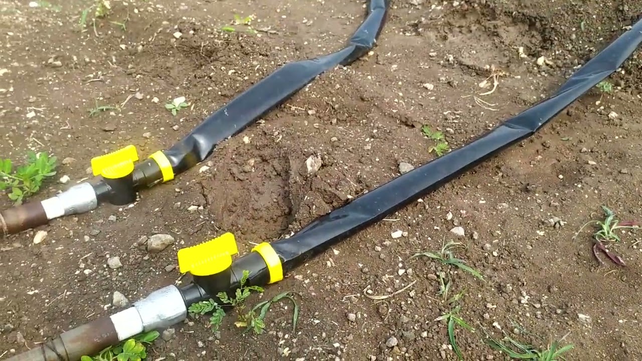 cumin ( jira) ma rain pipe thi pani apu