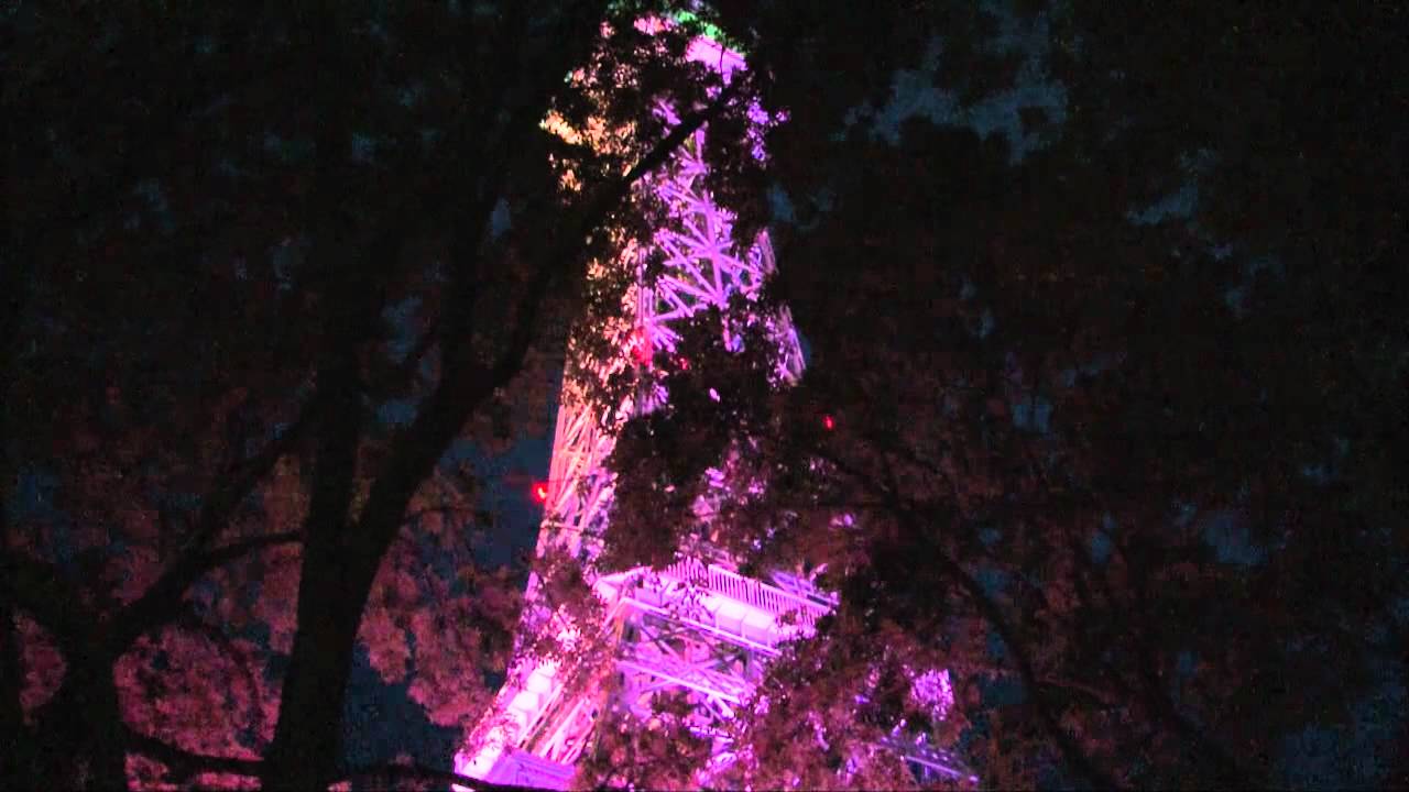 Snoopy's Starlight Spectacular at Kings Dominion
