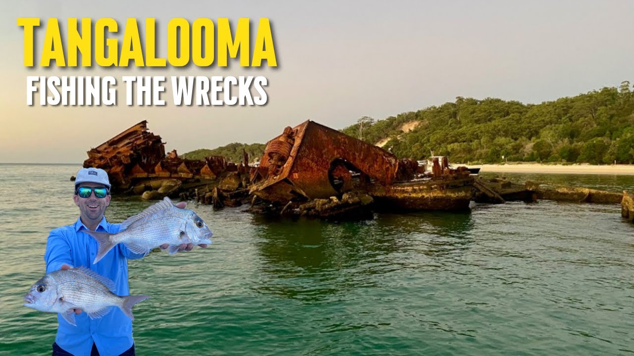 Fishing the Tangalooma Wrecks