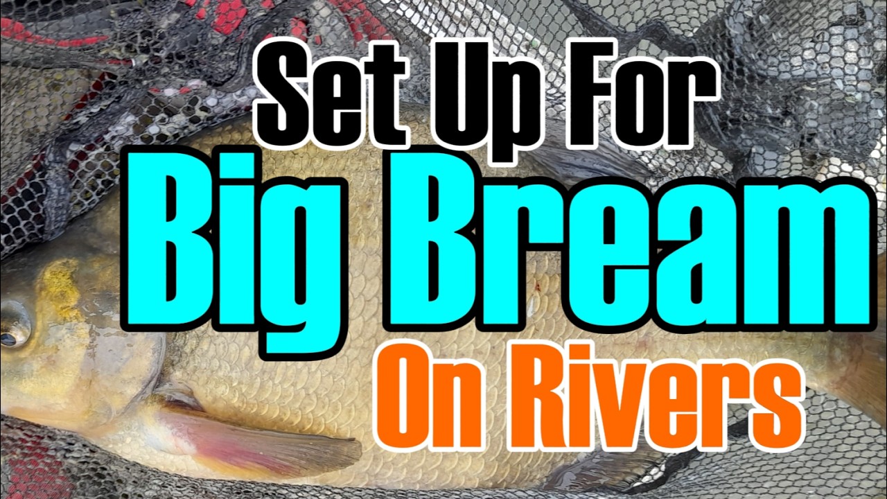 How To  setup For Big River Bream