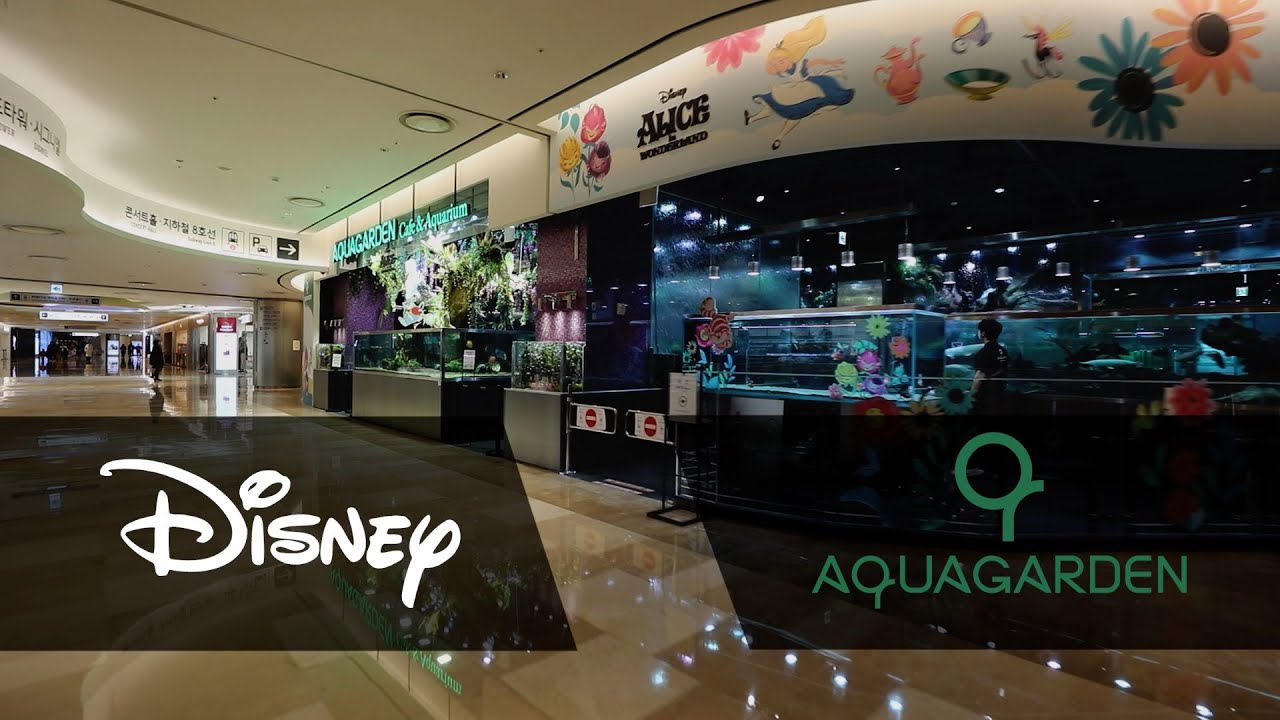 Part 2. 디즈니와 아쿠아가든의 콜라보레이션ㅣ롯데월드몰에 이상한 나라의 앨리스#aquagarden#aquarium#terrarium#아쿠아가든#아쿠아카페#테라리움
