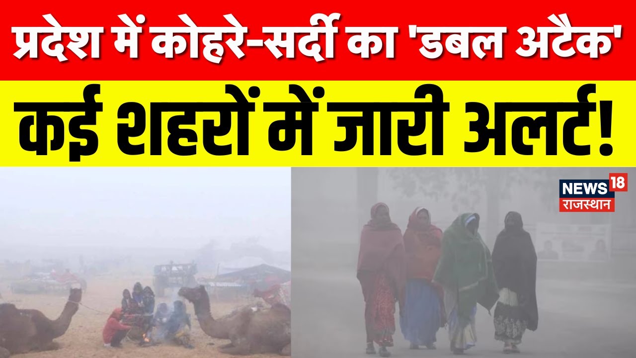Rajasthan Weather News: प्रदेश में कोहरे-सर्दी का 'डबल अटैक' | Cold Wave Alert | Cold Wave |Weather