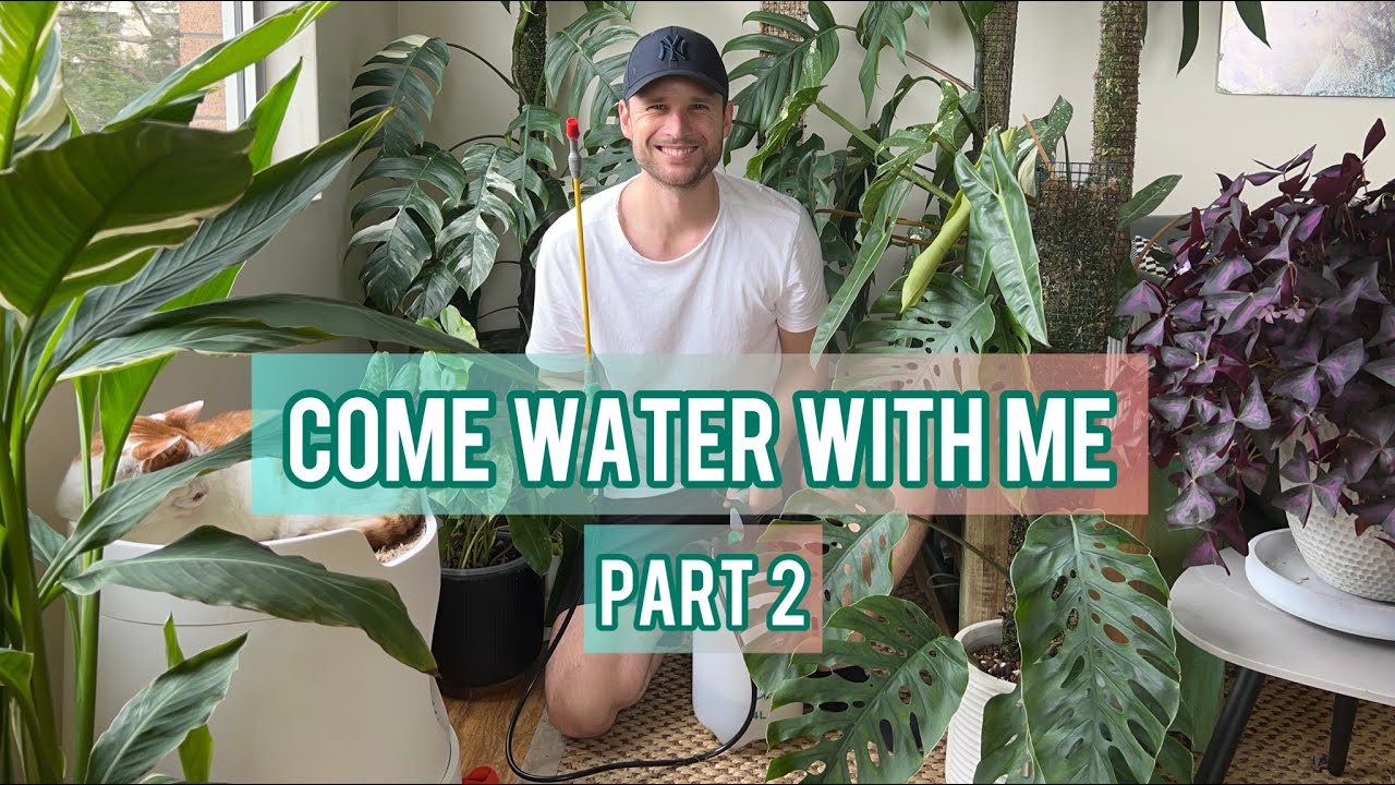 MY WATERING ROUTINE - Part 2