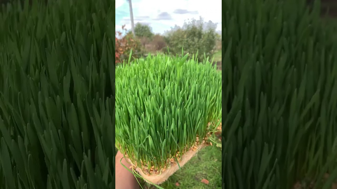 🌱💕