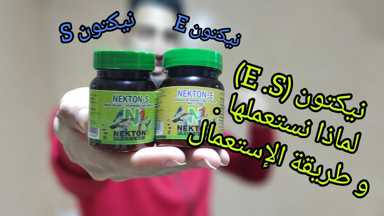طريقة تقديم المكمل الغذائي NEKTON E / NEKTON S , 😋🐦🌡️