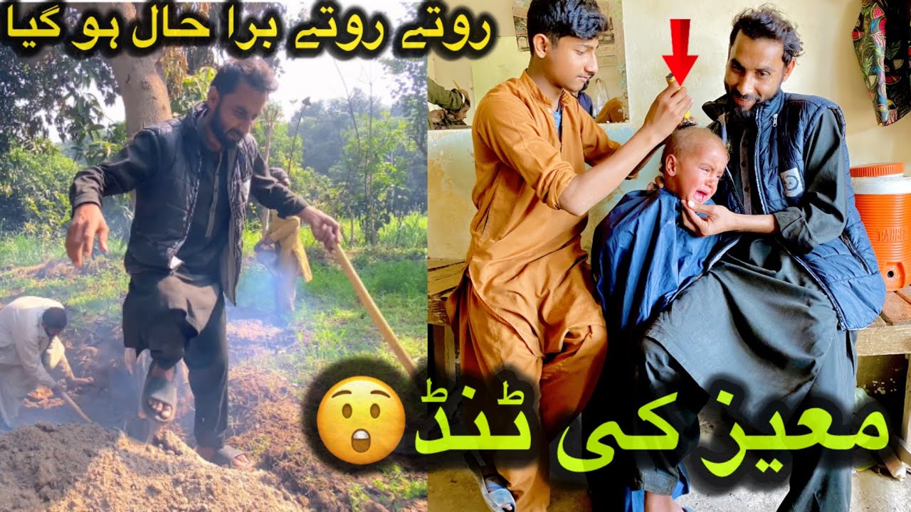 Qadeemi Darakht Ka Achanak Gir Jana Sab Kuch Tabah Ho Gaya 🌳💔😲
