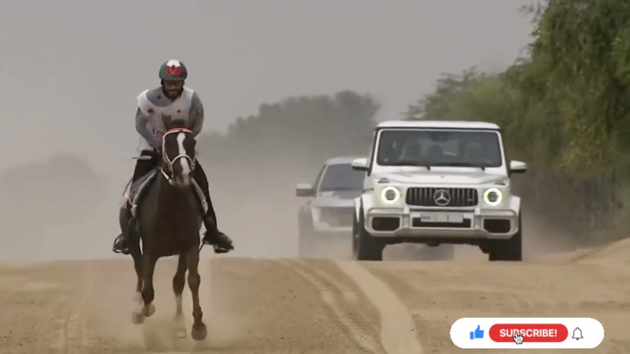 Final Loop Dubai Crown Prince Endurance Cup