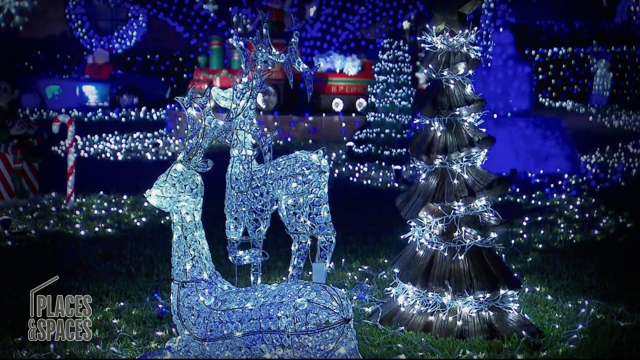 Light Fight ALL STARS ⭐️ | The Great Christmas Light Fight