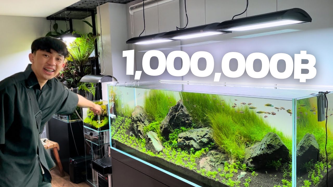 ตู้ไม้น้ำราคา 1,000,000฿ ในADA THAILAND