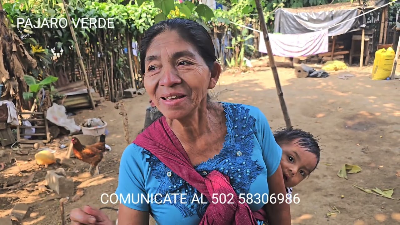 Abuelita tiene que ir al monte para alimentar a Rosita y sus hermanos. La madre no aparece aun.
