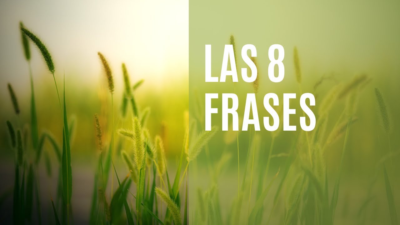 3 Las 8 Frases 4 min