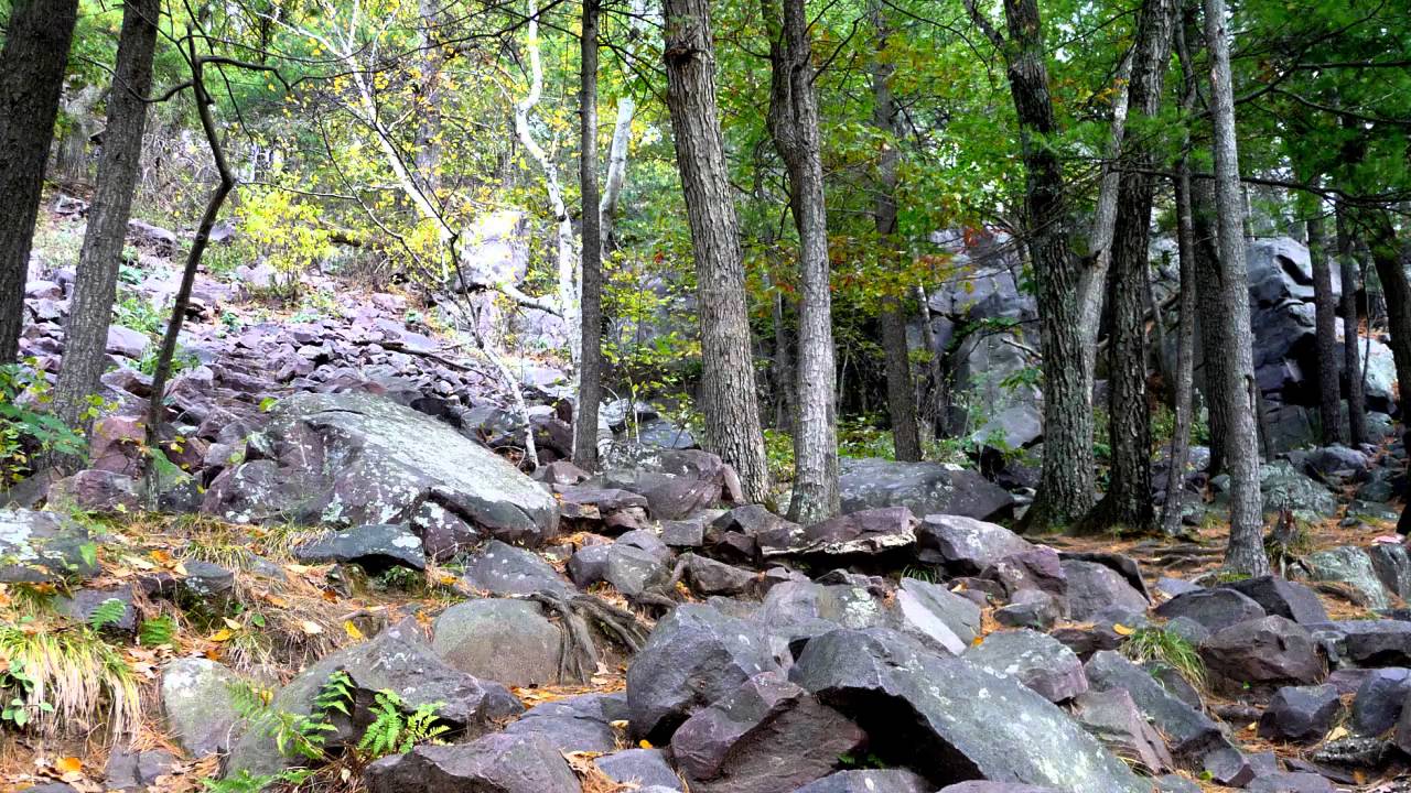 Me singing 秋蝉, yuanyuan88 cover, 一人二重唱秋蝉, Devil’s Lake State Park, 秋蝉诉说秋天的故事