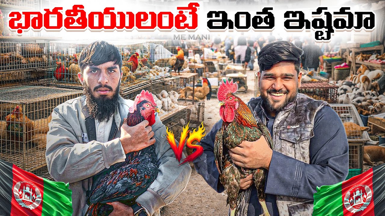 Inside Kabul’s Crazy Pet Market 🇦🇫 | Afghanistan