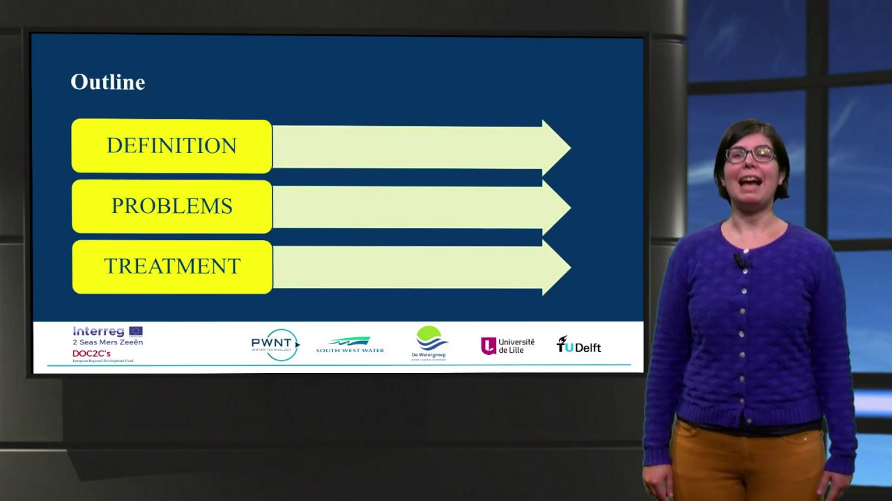 NOM in drinking water treatment (TU Delft)