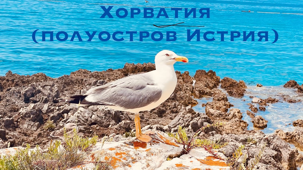 Наш отпуск в Истрии: Фунтана, Пореч, Пула — всё по-честному