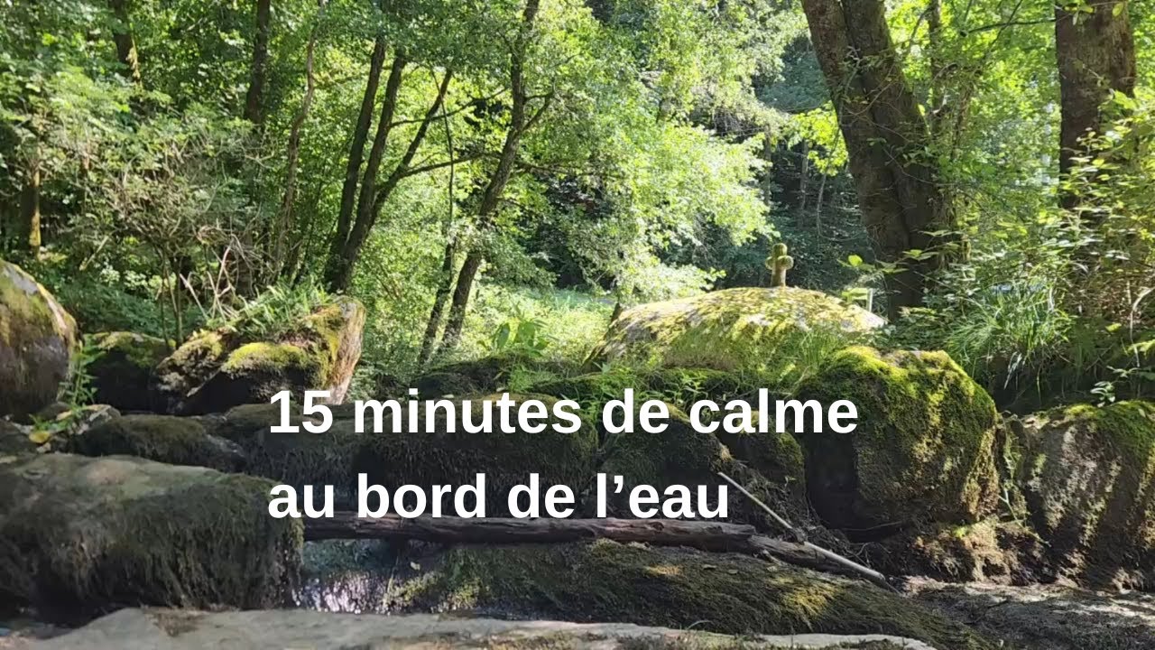 15 minutes de calme au bord de l'eau et en forêt
