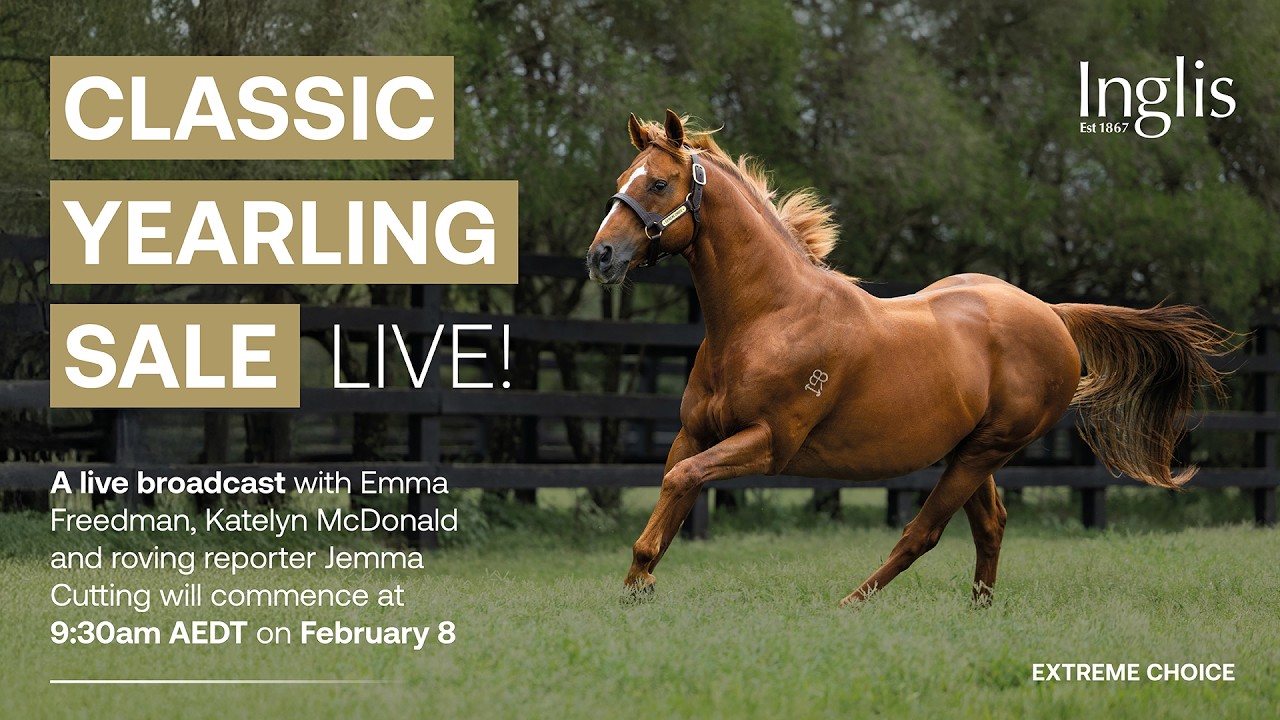 Commentary - 2026 Inglis Classic Yearling Sale - Day 3
