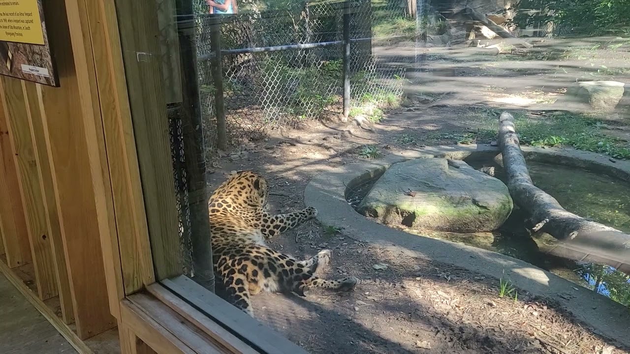 A tour in the ZOO🦖🦁 , Turkish food experience .......