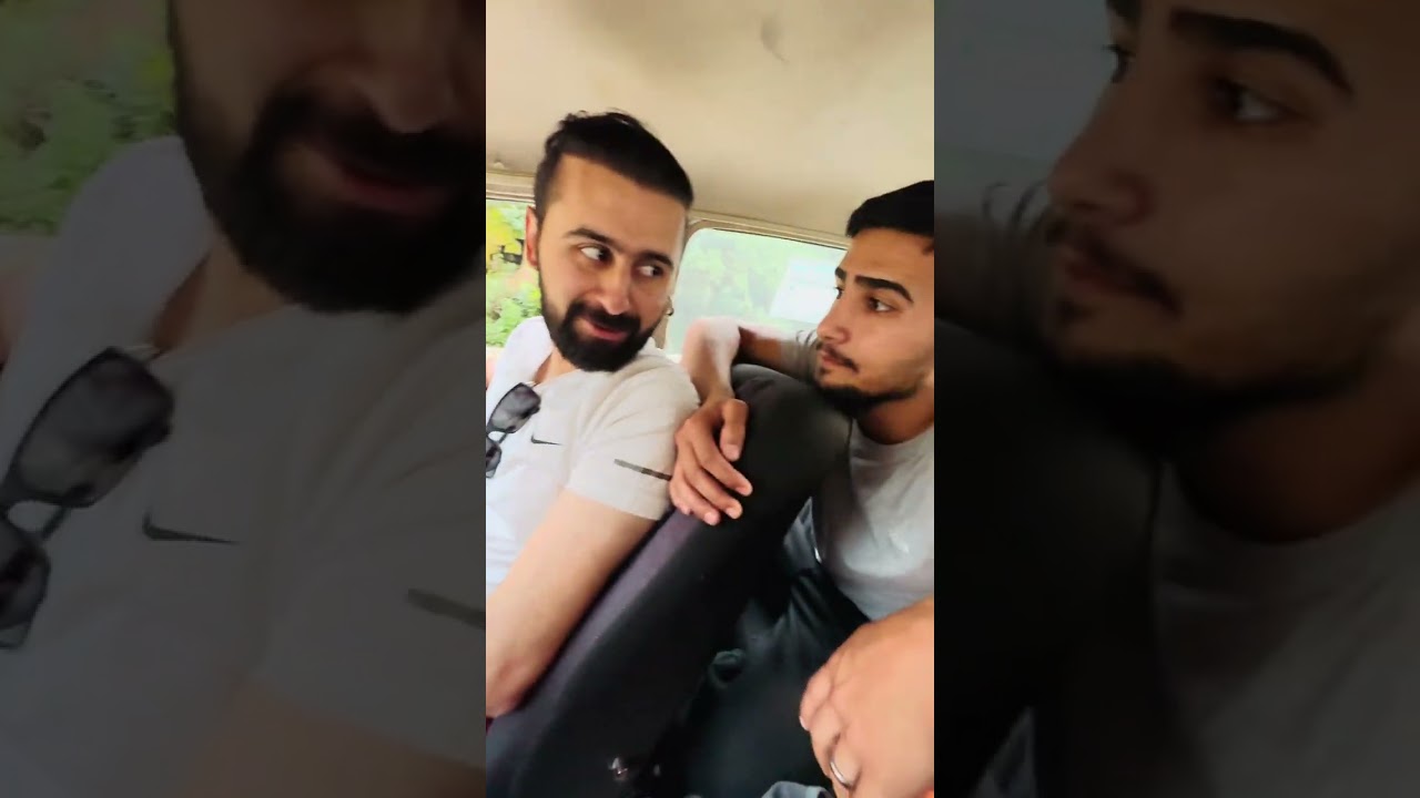 ڤڵۆگی کانی شەکر  بەزمی شەو مانەوە