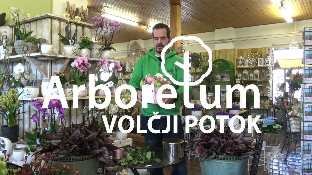 Cvetlični aranžma Flower Box