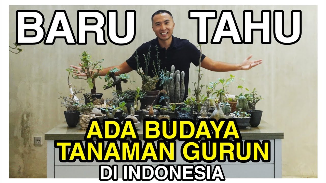 1. BARU TAU ADA BUDAYA TANAMAN GURUN DI INDONESIA PADA PAMERAN TREN SEMUSIM DI JAKARTA